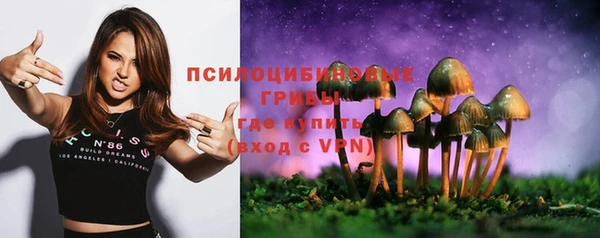 ALPHA-PVP Армянск