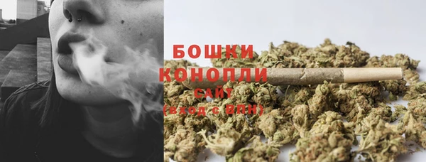 крисы Аркадак