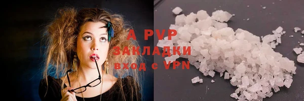 крисы Аркадак
